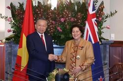 Đưa quan hệ Đối tác Chiến lược toàn diện Việt Nam - New Zealand sang giai đoạn mới