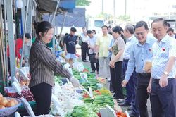 3 chợ đầu mối phải là 'vành đai an toàn thực phẩm' của thành phố