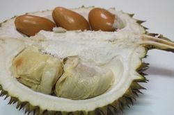 Vì sao có nho không hạt nhưng vẫn chưa có sầu riêng, xoài… không hạt?