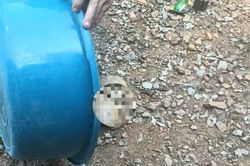 Phát hiện vật thể nghi là sọ người ở Tuyên Quang