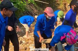 Tuổi trẻ góp sức dựng lại bờ kè cho người dân sau lũ