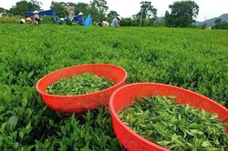 Doanh nghiệp nhỏ cần vốn rẻ nhưng trước hết phải vay được vốn