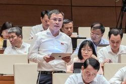 Đại biểu Quốc hội đề nghị minh bạch cơ chế chia sẻ hạ tầng, phân bổ băng tần viễn thông