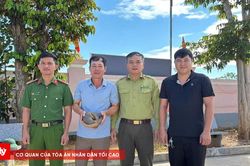 Người dân tự nguyện giao nộp cá thể tê tê Java quý hiếm