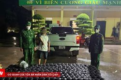 Thủ đoạn tinh vi đưa ' khí cười ' qua biên giới: Xé lẻ, giấu hàng, đổi đường