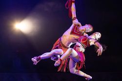 Máu trên sàn tập và nước mắt sau tấm màn nhung