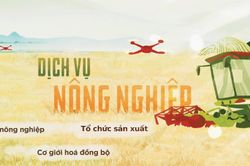 Trượt dốc của Lộc Trời: Từ ông lớn lợi nhuận hàng trăm tỷ đến áp lực sống còn