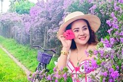 Vườn hoa tím 1.000m2 nở rộ ở Tây Ninh, chủ vườn mời khách 'thưởng hoa' miễn phí