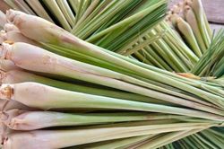 Dùng sả hằng ngày mang lại nhiều lợi ích nhưng 3 nhóm người cần hạn chế