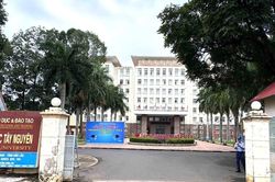 Điểm chuẩn ĐH Tây Nguyên 2026: Giáo dục Thể chất lên tới 25,95 điểm
