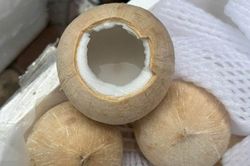 Phụ nữ uống nước dừa nhiều, đừng bỏ qua điều này