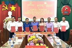Tạo 'cầu nối' ph&aacute;t hiện, bảo vệ người yếu thế v&agrave; lợi &iacute;ch c&ocirc;ng