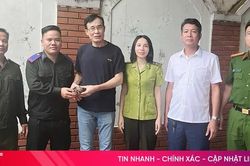 Người dân Hà Tĩnh tự nguyện giao nộp cá thể rùa núi vàng quý hiếm