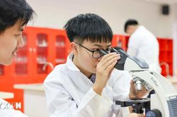 Quy định mới về tổ chức, quản lý và sử dụng Quỹ Học bổng Quốc gia