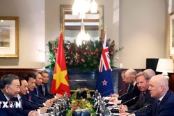 Tổng Bí thư, Chủ tịch nước Tô Lâm hội đàm chính thức với Thủ tướng New Zealand