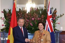 Tổng Bí thư, Chủ tịch nước Tô Lâm hội đàm với Toàn quyền New Zealand