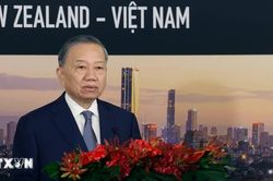 Tổng Bí thư, Chủ tịch nước dự Tọa đàm doanh nghiệp Việt Nam-New Zealand