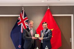 Thúc đẩy xúc tiến thương mại và đầu tư hai chiều giữa New Zealand và Việt Nam