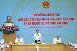 Thủ tướng làm việc với Ngân hàng Nhà nước và các tổ chức tín dụng