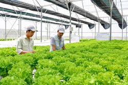 Doanh nghiệp hợp lực phát triển kinh tế - Bài cuối: Khơi thông dòng vốn để tăng tốc