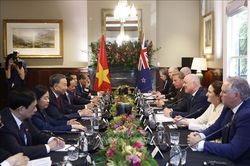 Tổng Bí thư, Chủ tịch nước Tô Lâm hội đàm chính thức với Thủ tướng New Zealand