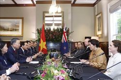Tổng Bí thư, Chủ tịch nước Tô Lâm hội đàm với Toàn quyền New Zealand