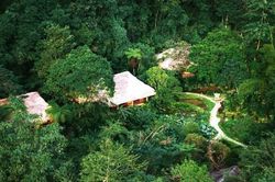 Phát triển du lịch sinh thái - 'chìa khóa' giữ màu xanh đại ngàn