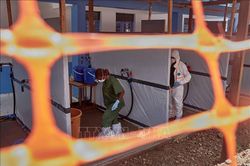 WHO cảnh báo dịch Ebola tại Congo có thể trở thành đợt chết chóc nhất lịch sử