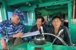Vi phạm quy định chống khai thác IUU, chủ tàu cá bị phạt gần 400 triệu đồng