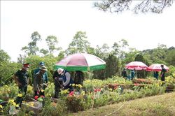 Th&agrave;nh phố Huế ho&agrave;n th&agrave;nh sớm lấy mẫu h&agrave;i cốt liệt sĩ