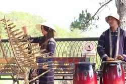 Chủ động chấp hành quy định về bản quyền âm nhạc ở Đà Lạt