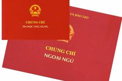 Đại học Huế rà soát việc sử dụng chứng chỉ ngoại ngữ trong xét tuyển chính quy