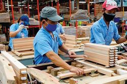 Ngành gỗ quý II/2026 ghi nhận những gam màu trái chiều