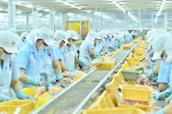 3 lần gom cổ phiếu ANV, lãnh đạo Nam Việt nâng sở hữu lên 1,18%