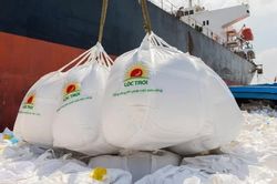 Lộc Trời bị hủy tư cách công ty đại chúng