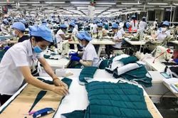 VCCI đề xuất loạt chính sách hỗ trợ SME đáp ứng yêu cầu mới của thị trường xuất khẩu