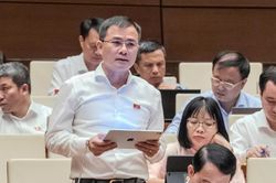 Chủ tịch Viettel: Phân bổ băng tần chậm, giá trị kinh tế sẽ suy giảm