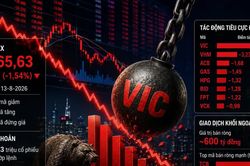 VIC ‘thu hồi’ điểm của VN Index