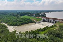 Hồ Dầu Tiếng trước áp lực kép: Chống lũ, giữ nguồn nước