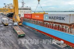 Từ tháng 9/2026: Trái cây miền Tây đi thẳng sang Trung Quốc