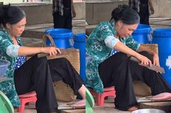 Xôn xao hình ảnh ca sĩ Phương Thanh bán cá ngoài chợ