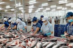 Mỹ áp thuế cá tra Việt Nam tới 1 USD/kg, tăng hơn 200% sau rà soát POR21
