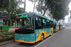 TP.HCM: Gần 12 triệu lượt khách đi xe buýt miễn phí sau hơn một tháng