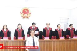 TAND tỉnh Cà Mau mở 4 phiên tòa giám đốc thẩm, tái thẩm