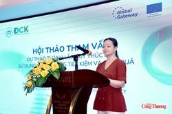Tham vấn mô hình Quỹ thúc đẩy sử dụng năng lượng tiết kiệm và hiệu quả