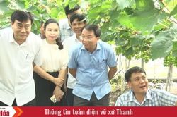 Vượt rào manh mún, hướng đến nền nông nghiệp hàng hóa