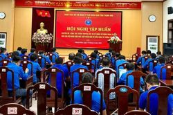 Đoàn Thanh niên UBND tỉnh triển khai hơn 50 chương trình tình nguyện với giá trị gần 2 tỷ đồng