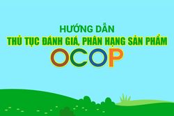 Hướng dẫn thủ tục đánh giá, phân hạng sản phẩm OCOP