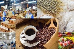 Italia siết quy trình SPS đối với nông sản, thực phẩm và thủy sản Việt Nam