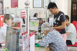 Bắc Ninh: Vốn ngân hàng tiếp sức cho nông nghiệp bền vững
